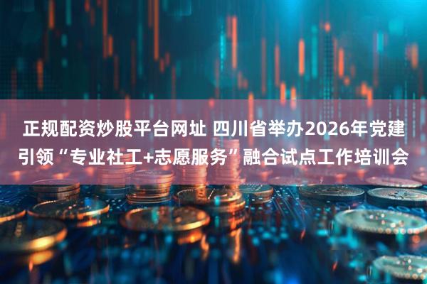 正规配资炒股平台网址 四川省举办2026年党建引领“专业社工+志愿服务”融合试点工作培训会