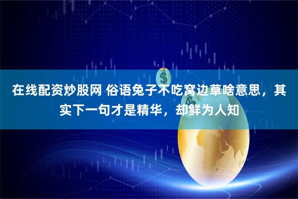 在线配资炒股网 俗语兔子不吃窝边草啥意思,其实下一句才是精华,却鲜为人知