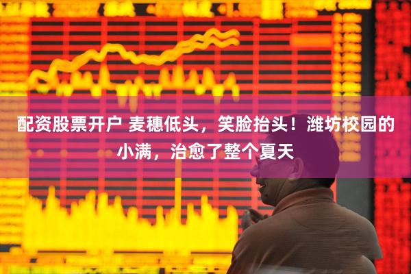 配资股票开户 麦穗低头，笑脸抬头！潍坊校园的小满，治愈了整个夏天